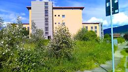 Una petizione per riqualificare due aree abbandonate: &laquo;Fate un giardino o un parcheggio&raquo;