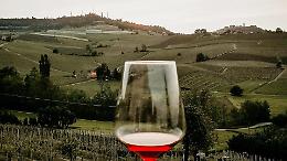 Vino piemontese, 18,8 milioni sul tavolo: cantine, vigneti e mercati esteri nel mirino