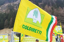 "Talento Verde": le classi del Bonfantini si trasformano in laboratori di natura