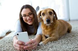 L'intelligenza artificiale decodifica i codici di comunicazione del mondo animale