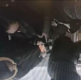 Torino, furti sui bus: blitz in borghese della Polizia Locale, quattro arresti - VIDEO