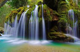Leggenda a Borgiallo: questo bosco sembra uscito da un libro delle fiabe