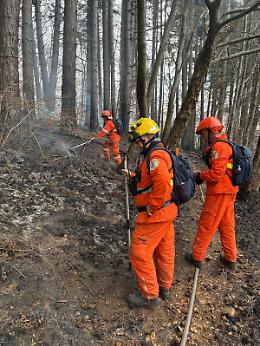 Fiamme in quota a Bussoleno: nuovo incendio sopra la borgata Santa Petronilla