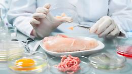 Allarme in Europa: batteri alimentari sempre pi&ugrave; resistenti agli antibiotici