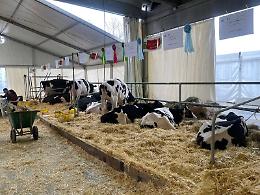 Carmagnola, in arrivo la 562&ordf; Fiera Primaverile: ecco le attivit&agrave; in programma