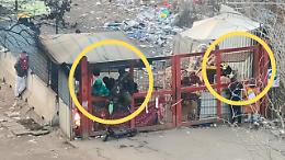 Spaccio a Torino, il cantiere nel parco diventa un "take away" della droga