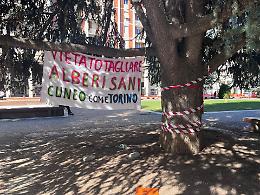 "Cuneo come Torino": le motoseghe si fermano (per ora)