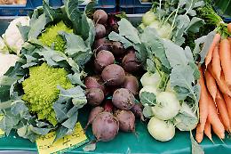 Castellamonte, le eccedenze di mensa diventano una risorsa: parte la rete contro lo spreco