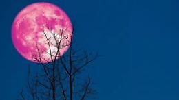 Arriva la luna rosa, il cielo saluta la primavera: ecco quando vederla