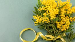 Savigliano celebra le donne: un mese di eventi tra cultura, diritti e partecipazione