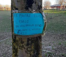 Cento alberi in via Carducci: Nichelino si spacca sul tema