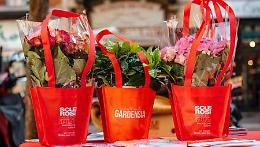 Chieri e Santena, il 7 e 8 marzo torna Gardensia per la raccolta fondi AISM