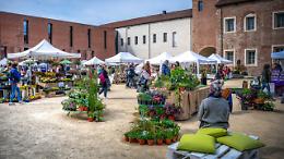 Fiorissimo 2026: il Castello di Novara sboccia in primavera