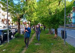 Il viale ora cambier&agrave; volto, intervento sull&rsquo;area verde