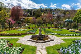 Primavera in arrivo: ecco i parchi dell&rsquo;Alto Piemonte che si colorano di fiori gi&agrave; a marzo