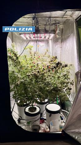 San Donato, serra indoor per marijuana in un appartamento: arrestato un 46enne
