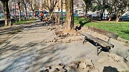 Nuovo volto (e nuovo nome) per i giardini di via Belli e via Zumaglia