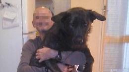 Uccise il suo cane a martellate: a processo l'animalista