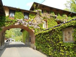 Primavera magica a un'ora da Torino: Pollone si prepara per lo spettacolo della fioritura