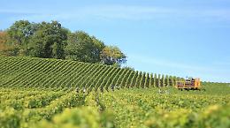 Stretto di Hormuz chiuso, Coldiretti avverte: &ldquo;Rischio per l&rsquo;agroalimentare&rdquo;