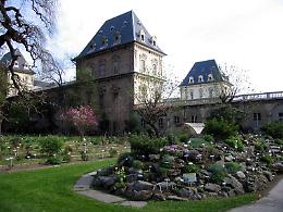 Torino, riapre l&rsquo;Orto Botanico del Valentino: piante e fiori da tutto il mondo