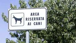 Area cani chiusa fino al 31 marzo: stop temporaneo per far crescere il nuovo prato