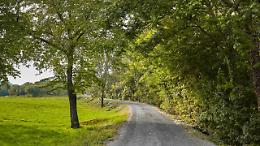 Ciri&egrave; cammina per la pace: 1.300 studenti protagonisti di un grande evento