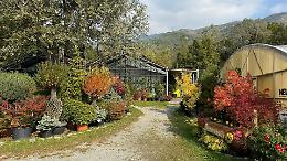 Valsusa in fiore: al vivaio floralpi di Condove la primavera bussa alla porta