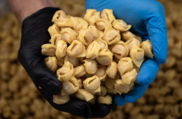 USA riducono i dazi sulla pasta italiana: tagliate le tariffe antidumping per 13 aziende