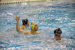 Avversario in forma per la Torino '81 di serie A2,  a caccia della terza vittoria consecutiva