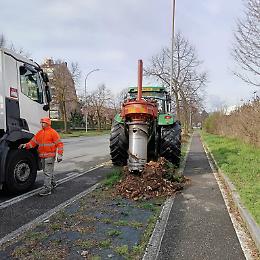 Venaria Reale mette radici: 244 nuovi alberi e piccoli boschi per una citt&agrave; pi&ugrave; fresca