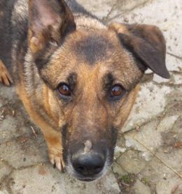 Un incidente le ha portato via la mamma. Ora &egrave; sola