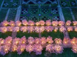 Reggia di Venaria: tornano le aperture serali tra musica, yoga e matsuri sotto le stelle