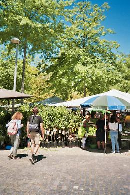 Carmagnola sboccia con "Ortoflora & Natura": l'11 e 12 aprile torna la storica rassegna del verde