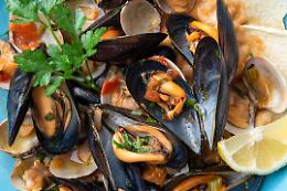 Frutti di mare crudi vietati nei locali: multa fino a 20mila euro con l&rsquo;ordinanza contro l&rsquo;Epatite A