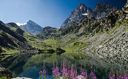 Aggiornata la banca del Dna delle foreste piemontesi