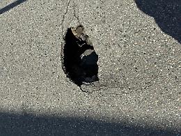 Marciapiedi e strada danneggiati: il caso che torna al centro