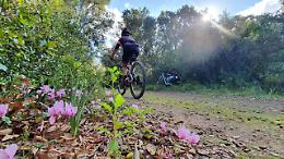 Pedala, esplora e vinci: parte &ldquo;Bici in Comune&rdquo; tra natura e premi