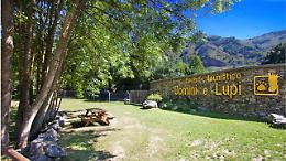 Alla scoperta dei lupi: Nichelino porta i cittadini in un&rsquo;avventura unica a Entracque