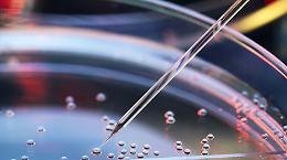 Torino al centro della medicina del futuro: ecco cosa sta cambiando