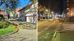 Alberi caduti, black out e incendi: i danni delle raffiche di vento a 170 km/h