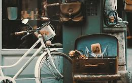 Torino, domenica tra libri rari e antiquariato: tre mercatini da non perdere