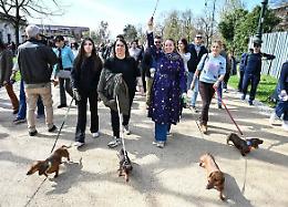 Torino invasa dai bassotti: oltre 1000 zampette in festa per la Sausage Walk Italia - LA GALLERY