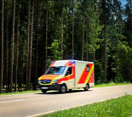 Albero crolla nel parco: bambino colpito mentre gioca