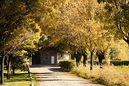 Scienze in cascina: tre giorni per imparare facendo alla CollinaPo