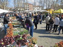 Pasquetta a Bra tra sapori e storia: la Fiera Zootecnica festeggia 150 anni