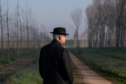 David di Donatello 2026: Paolo Sorrentino fa "La grazia" a Torino con 14 nomination, ma il record &egrave; di un altro film 