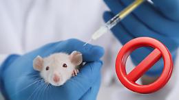Sperimentazione, stop ai test sugli animali: la ricerca farmacologica diventa digitale e sicura