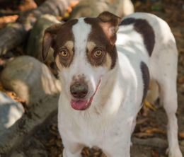 Nessuno chiede di lui, nessuno lo cerca... 