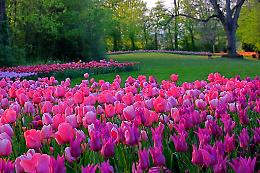 Arte e meditazione tra i fiori: l'esperienza sensoriale al Castello di Pralormo